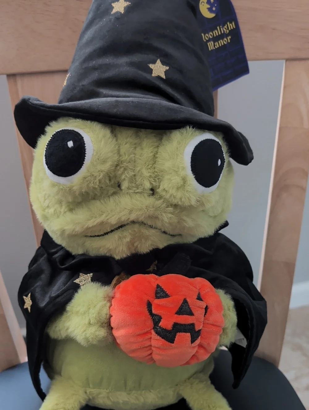 Moonlight Manor Wizard Frog Plush NWT